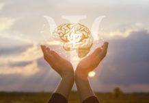 Adelantos extraordinarios de las Ciencias Neuronales: Implicaciones para el adiestramiento en neuropsicología